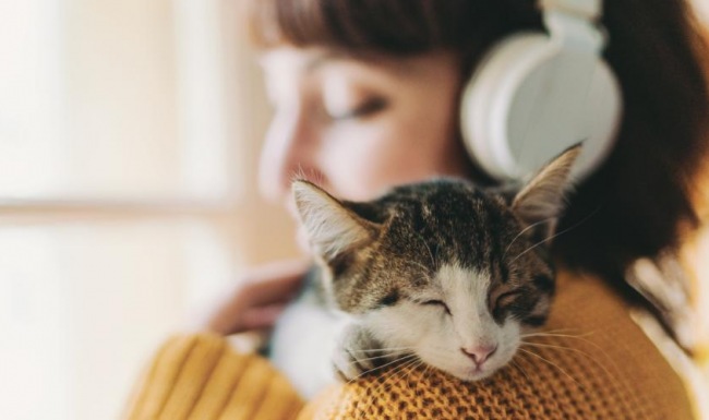 a person holding a cat